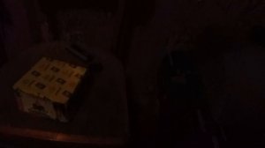 Обзор на салют Виллибон