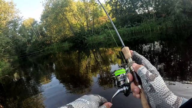 Окунь всех прогнал. Рыбалка в Ленинградской области. Август 2024. смотреть онлайн