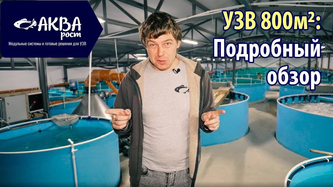 Бизнес по выращиванию рыбы в установках замкнутого водоснабжения #экология #агробизнес #инвестиции смотреть онлайн