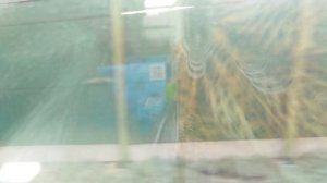 НА МОРЕ - НА ПОЕЗДЕ. ЕДЕМ В АНАПУ НА ПОЕЗДЕ № 202Ы КРАСНОЯРСК - АНАПА. МАЙ 2024.