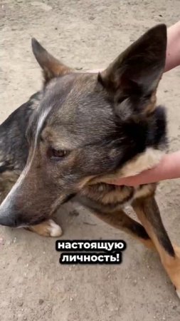 В поисках счастья | Оли