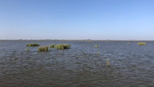 Выход на раскаты, Астрахань! смотреть онлайн