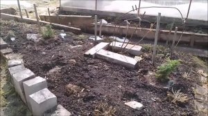 Навожу порядок у дома и на огороде, подкисляю почву где требуется