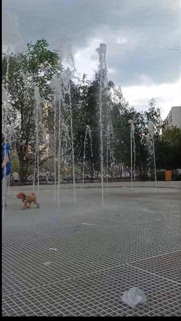 Районы Москвы #moscow #russia #lifestyle #district смотреть онлайн