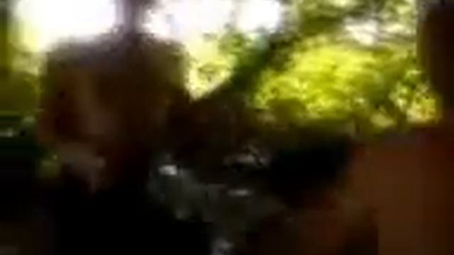 отдых на природе 2 смотреть онлайн