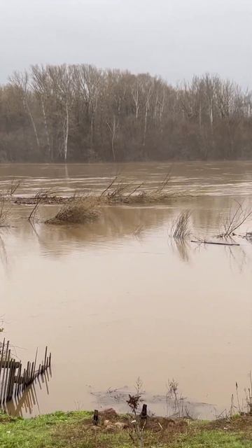 #оренбург #татарскаякаргала смотреть онлайн