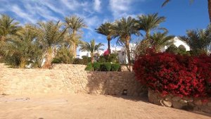 Отдых в отеле DOMINA CORAL BAY OASIS 5 Шарм –Эль Шейх Египет