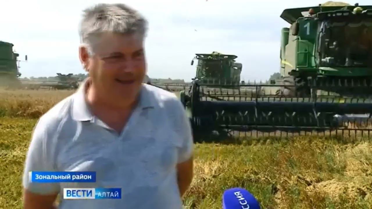 Агрохолдинг Гудвилл. Уборка урожая. Вести Алтай. смотреть онлайн