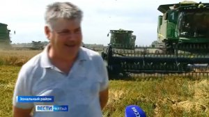 Агрохолдинг Гудвилл. Уборка урожая. Вести Алтай.