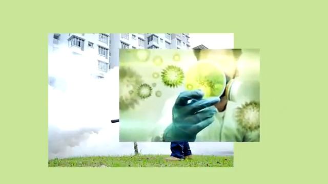 Дезинсекция, дезинфекция, дератизация и демеркуризация в городе Советске