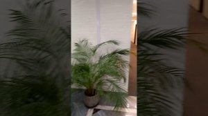 Бутик отель Волна. Адлер