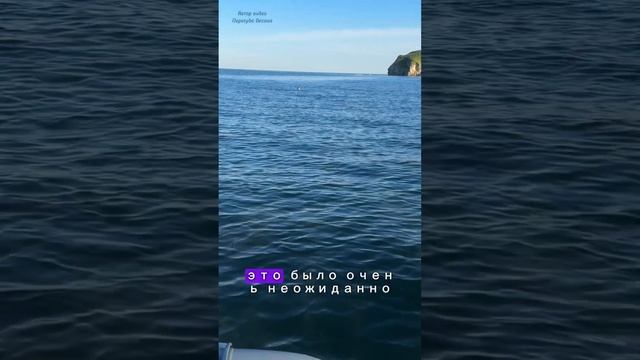 Алеут Приморский край смотреть онлайн