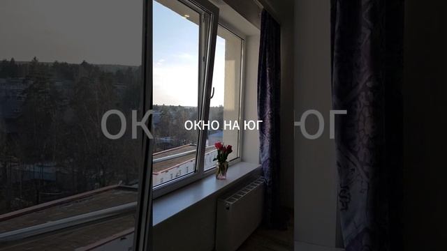 БЛИЖЕ К ЛЕСУ. ПРОДАЖА ОДНУШКИ ИЛИ ПЕРЕЕХАТЬ В ОБЛАСТЬ