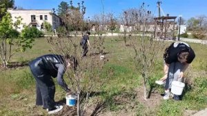 Всероссийская неделя субботников «Мы за чистоту»