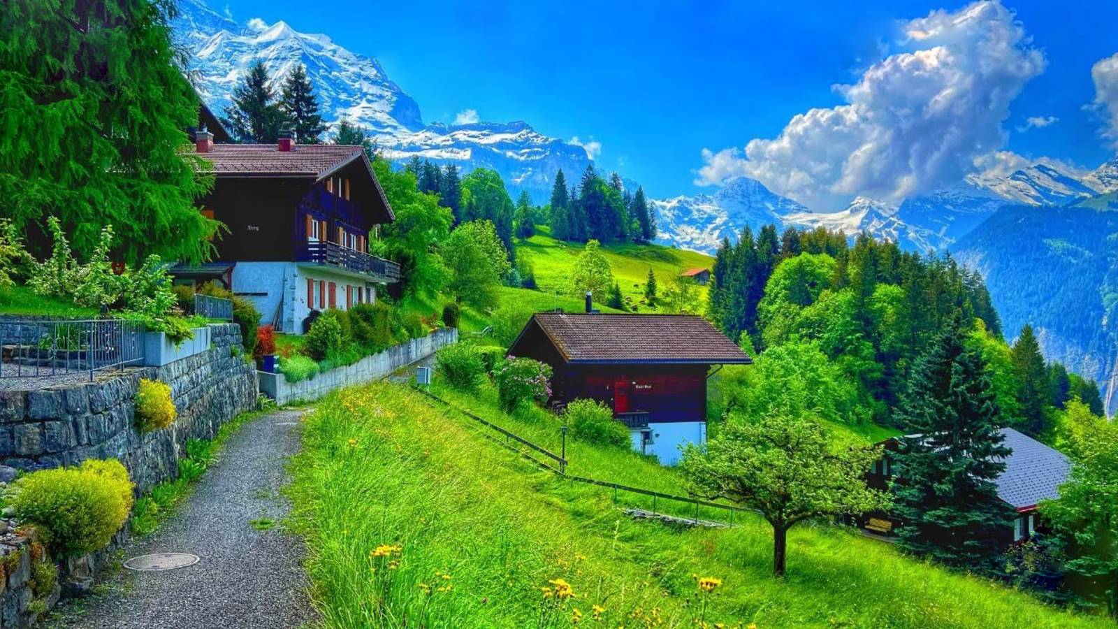 Венген, Швейцария 4K - Самые красивые швейцарские деревни - Сказочная деревня в Альпах | #шариклайф
