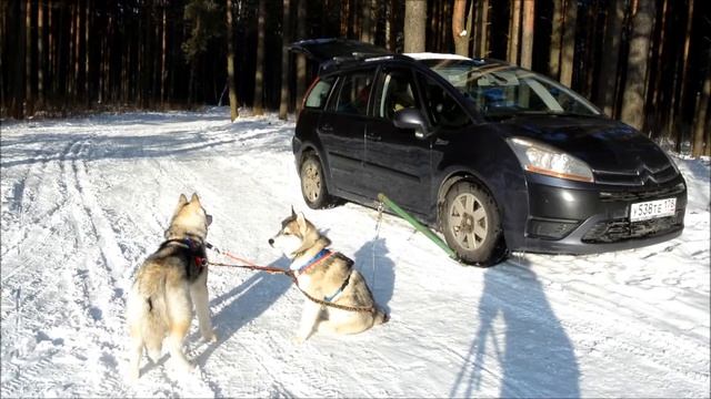 Стейк аут легко и просто!