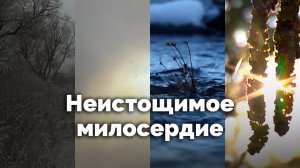 Неистощимое милосердие | С любовью к русской природе