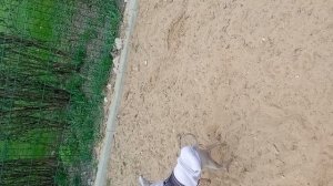 1000040672.mp4