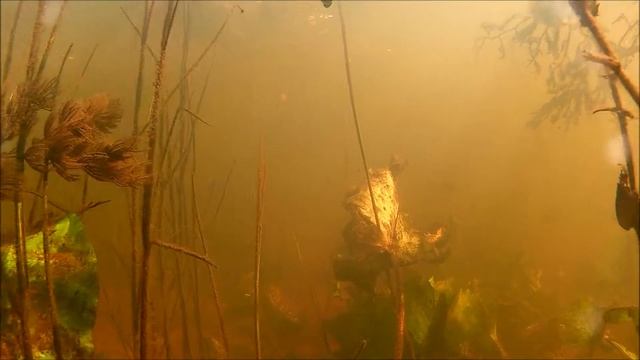 Подводная охота, новые места. смотреть онлайн