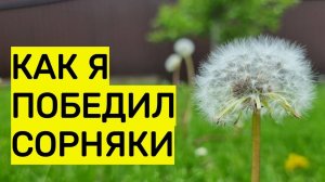 Как я победил сорняки на участке: 100% способ избавиться даже от пырея НАВСЕГДА!