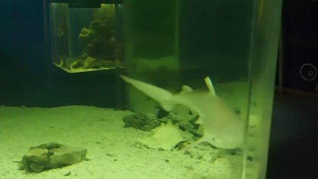 00077-Океанариум