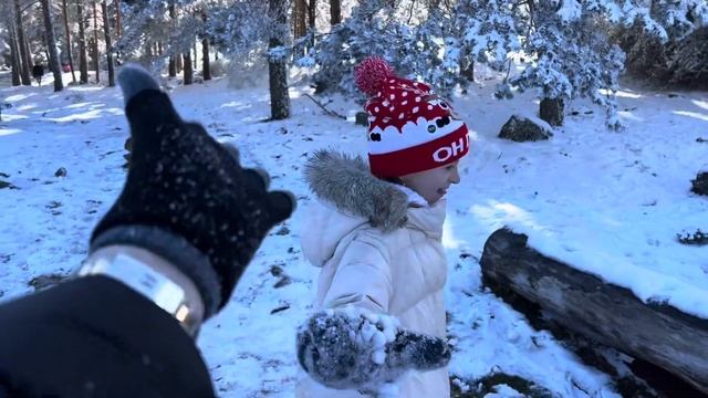 Почему Мадрид | Лучший ресторан | Горы | Снег в Мадриде | Влог Vlog смотреть онлайн