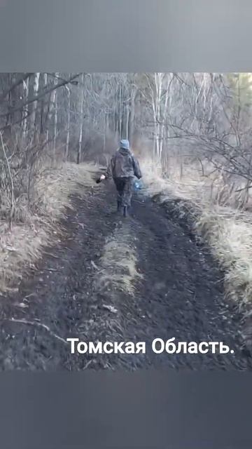 РОДИНА ...... , А ОНА НАМ НРАВИТСЯ!!! #прикол #бездорожье #томск смотреть онлайн