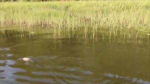 Заброшенный корабль в пестовском водохранилище.