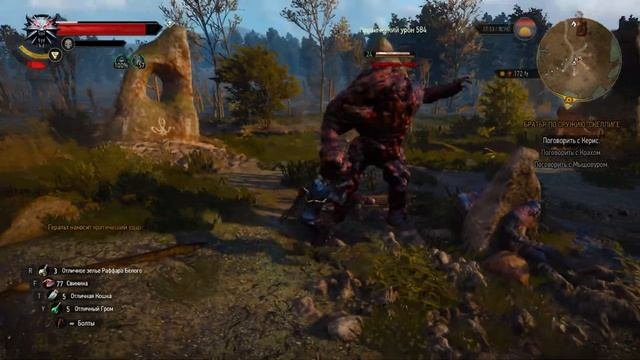 The Witcher 3: Wild Hunt - Часть 186, Спрятаны от всего мира
