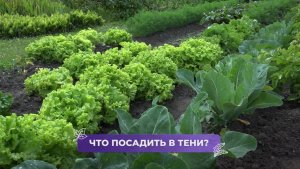 🏡 98% людей неправильно используют место забора