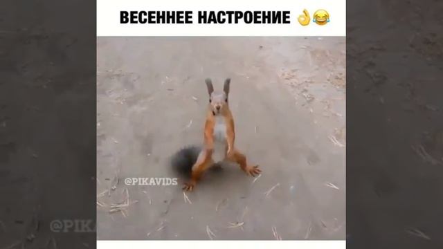 Весеннее настроение смотреть онлайн