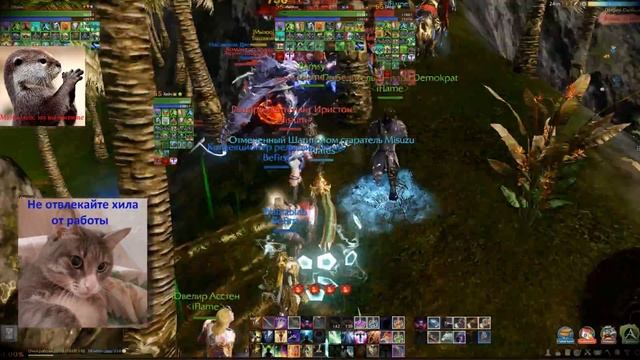 Archeage. Луций. Воскресный утренний дельфиец WS vs PtW 05/02/17 смотреть онлайн