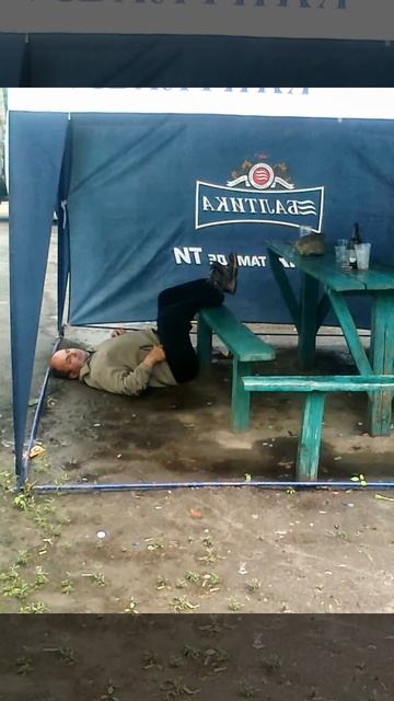 Шаповаловские мэны смотреть онлайн