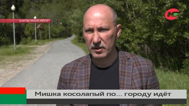 В Ханты-Мансийске пытаются изловить зверя, который своим появлением удивил даже старожилов смотреть онлайн