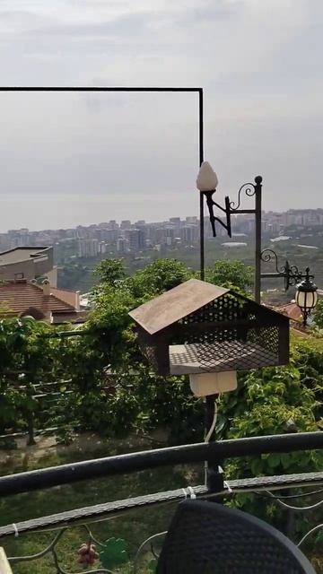 #travel2024 #magic #путешествия #music #relax #aланья смотреть онлайн