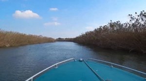 7 Жилка, протока Никитинского банка