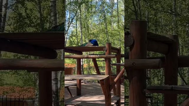 Обзор загородного отеля в Костромской области. Гранд отель SPA «Аристократъ» семейный отель!