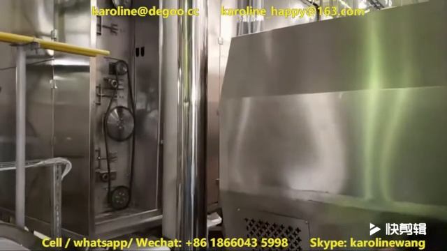 Jinan DG 2D 3D snacks pellet pallet chips fryums papad drying machine dryer oven