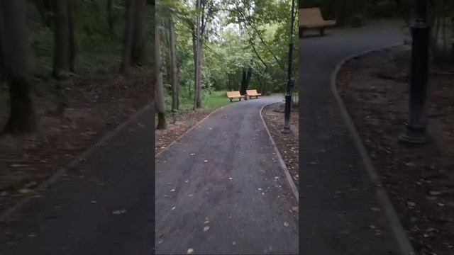 walking through the city park #park #town #wallking #2024 #stream #стрим #парк #грибы #красота смотреть онлайн