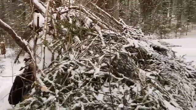 😄ВЫЖИВАНИЕ🤗 в лесу ЧАСТЬ 3 смотреть онлайн