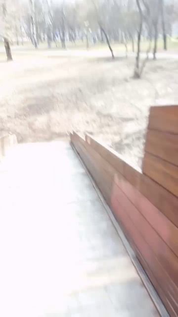 у барбариса закончилась зима(