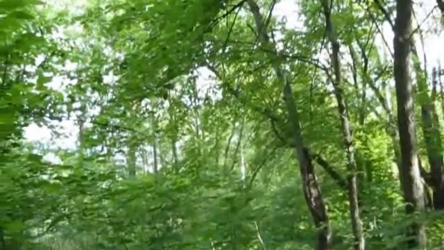 7.6.12 В центре города смотреть онлайн