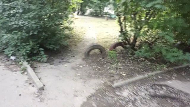 Сквер свиньи.