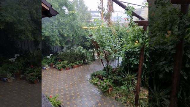 Витязево дождь смотреть онлайн