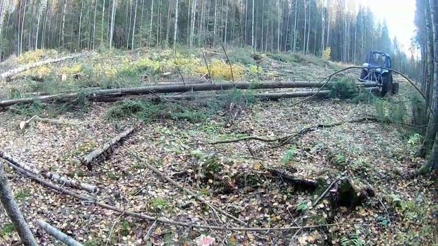 ЗАГОТОВКА ЛЕСА (6)