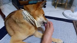 @NoguriTV 　#noguritv