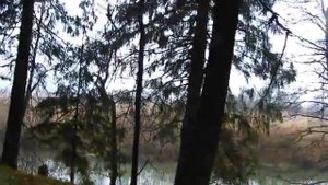 Сукремль парк, осень.