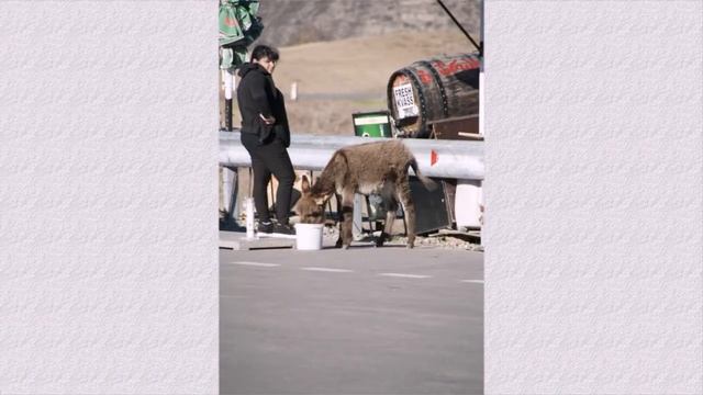 Грузия В смотреть онлайн