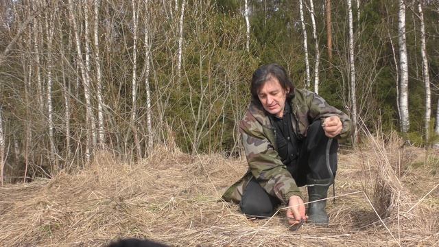 Гадюки массово проснулись. Апрель 2023. Приладожье смотреть онлайн