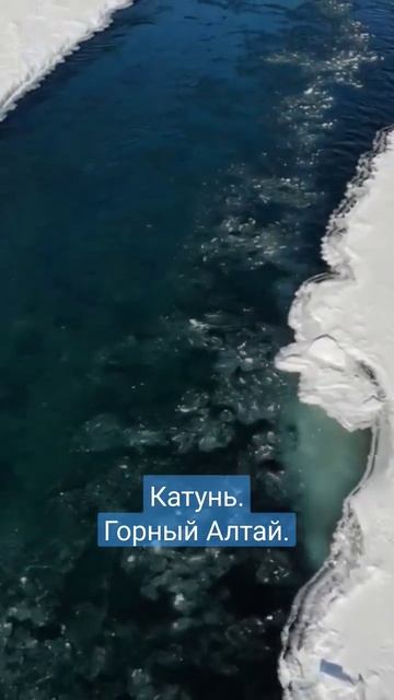 Катунь. Горный Алтай #виталийалтайский #целительство #горныйалтай